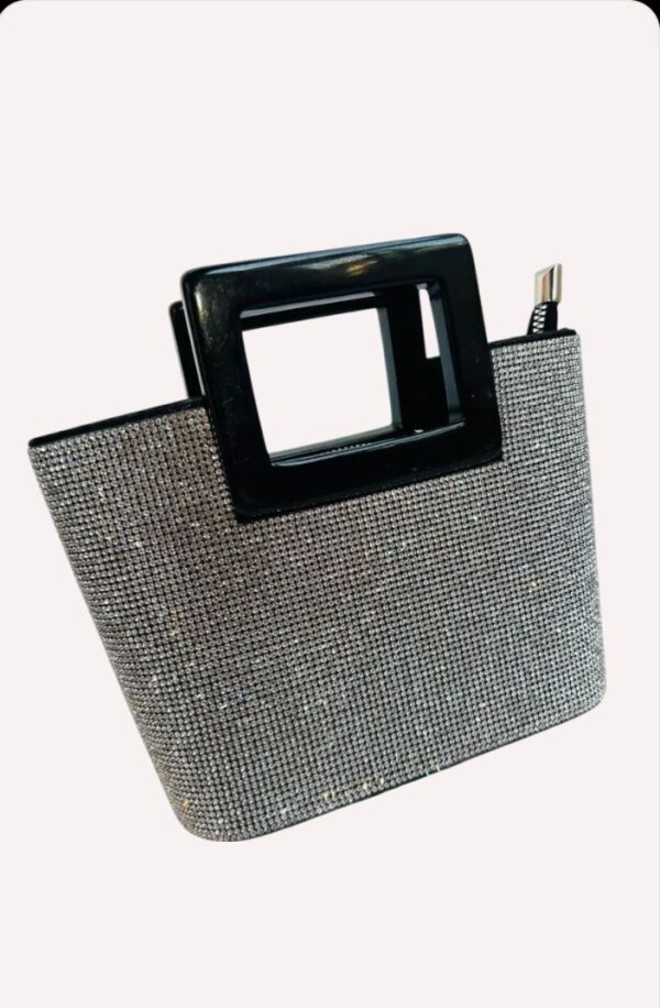 Marina Raphael Evangelie Bag in Crystal - Image 4